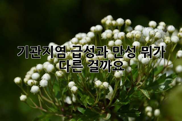a81189208c267cae0717a44c6a8c6a8d.jpg