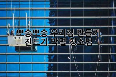 🏡 뽀송뽀송 우리집 만들기! 진드기 박멸 청소법 🧹