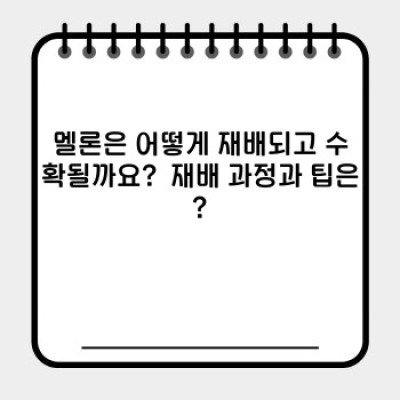 멜론: 모든 궁금증을 해소하는 완벽 가이드