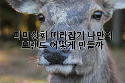 미미상회 따라잡기: 나만의 브랜드, 어떻게 만들까? 🤔