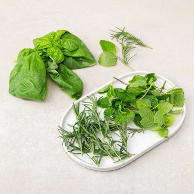 놓치면 후회! 애플민트새벽배송 솔직 후기🌿