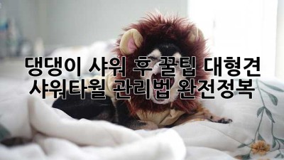 댕댕이 샤워 후 꿀팁! 대형견 샤워타월 관리법 완전정복