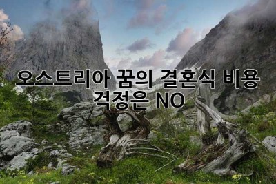 오스트리아 꿈의 결혼식, 비용 걱정은 NO! ✨