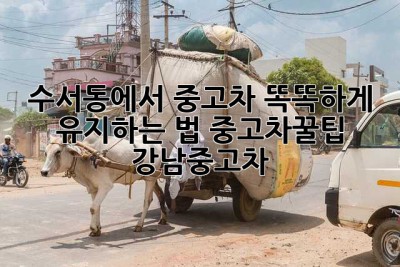 🚗💨 수서동에서 중고차, 똑똑하게 유지하는 법! #중고차꿀팁 #강남중고차