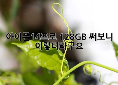 아이폰14프로 128GB, 써보니 이렇더라구요!
