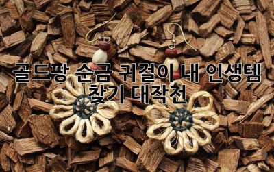 ✨골드팡 순금 귀걸이: 내 인생템 찾기 대작전!✨