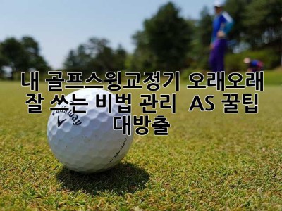 내 골프스윙교정기, 오래오래 잘 쓰는 비법! 관리 & AS 꿀팁 대방출 ✨