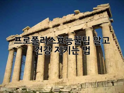 ✨프로폴리스효능✨꿀팁🍯 알고 건강 지키는 법!