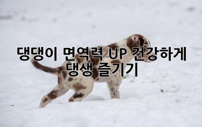 🐶 댕댕이 면역력 UP! 건강하게 댕생 즐기기 ✨