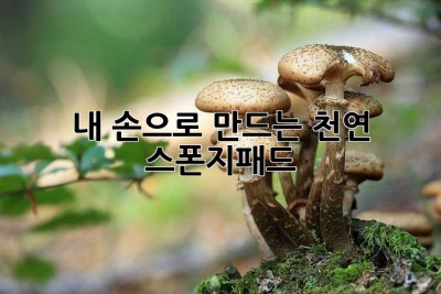 내 손으로 만드는 천연 스폰지패드 ✨