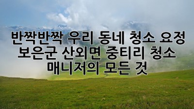 ✨반짝반짝✨ 우리 동네 청소 요정🧚‍♀️ : 보은군 산외면 중티리 청소 매니저의 모든 것!