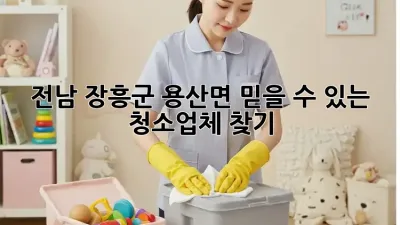 전남 장흥군 용산면 믿을 수 있는 청소업체 찾기