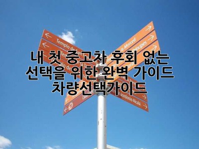 내 첫 중고차, 후회 없는 선택을 위한 완벽 가이드! (차량선택가이드)