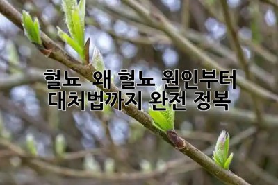 🩸 혈뇨?! 😱 왜? 혈뇨 원인부터 대처법까지 완전 정복!