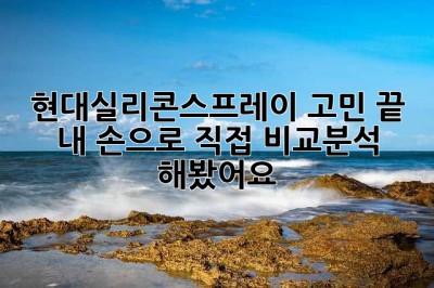 현대실리콘스프레이 고민 끝! 내 손으로 직접 비교분석 해봤어요!