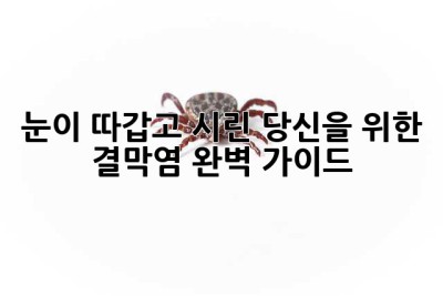 눈이 따갑고 시린 당신을 위한 결막염 완벽 가이드