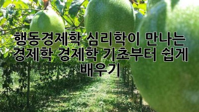 행동경제학: 심리학이 만나는 경제학, 경제학 기초부터 쉽게 배우기