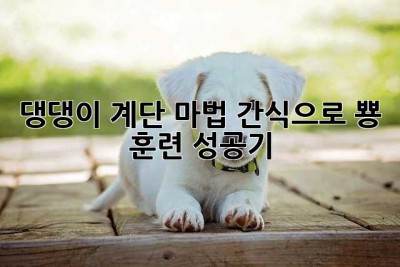 댕댕이 계단 마법: 간식으로 뿅! 훈련 성공기🐶