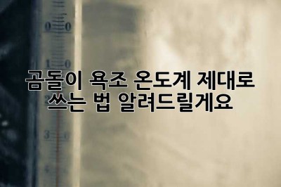 곰돌이 욕조 온도계, 제대로 쓰는 법 알려드릴게요🐻🛀
