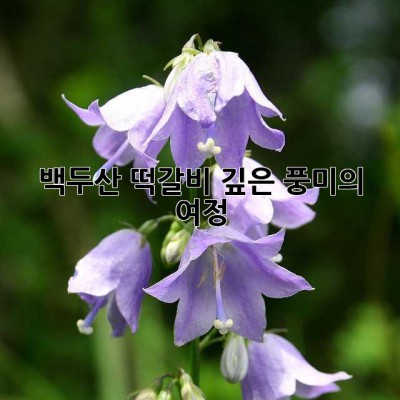 백두산 떡갈비: 깊은 풍미의 여정