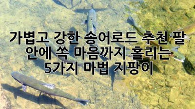 가볍고 강한 송어로드 추천: 팔 안에 쏙, 마음까지 홀리는 5가지 마법 지팡이 ✨