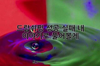 드랍쉬핑 성공? 실패? 내 이야기로 풀어볼게!