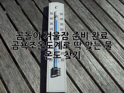 곰돌이 겨울잠 준비 완료? 🐻 곰욕조온도계로 딱 맞는 물 온도 찾기!