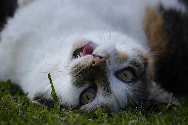 IRR내부수익률005.jpg