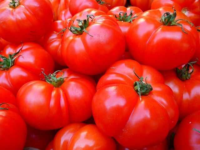 토마토라이코펜005.jpg